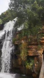 新春灯会“花式”点亮文旅经济